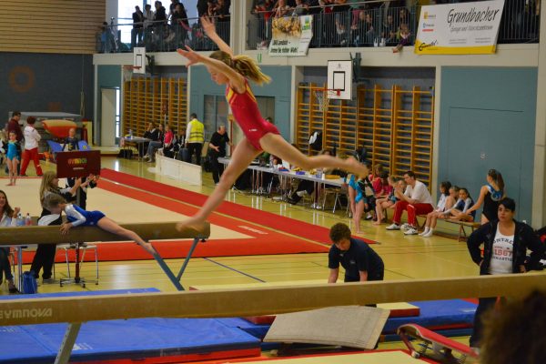 Photo 15 – Bernoise à Utzenstorf (11 mai)