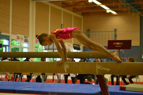 Photo 50 – Bernoise à Utzenstorf (11 mai)