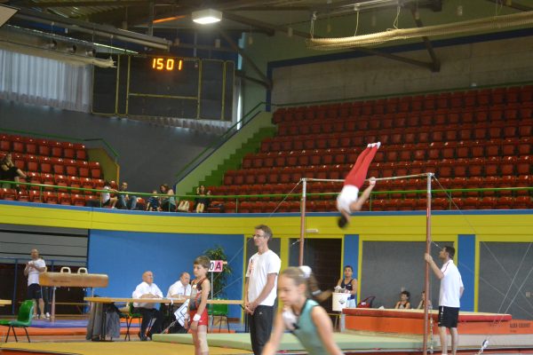 Photo 194 – Championnats romands par équipe et par engin à Montreux (15 mai)
