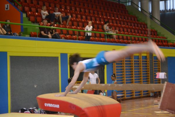 Photo 237 – Championnats romands par équipe et par engin à Montreux (15 mai)