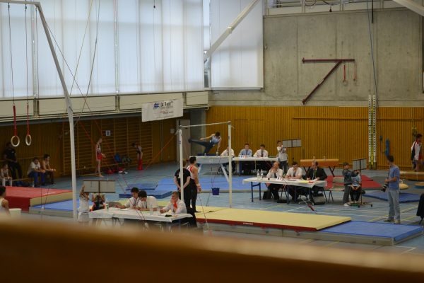 Photo 38 – Genevoise au Bois-des-Frères (2-3 mai)
