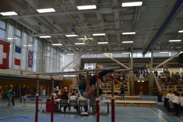 Photo 91 – Genevoise au Bois-des-Frères (2-3 mai)