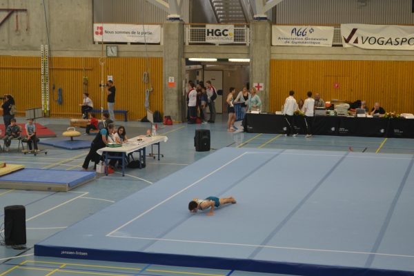 Photo 164 – Genevoise au Bois-des-Frères (2-3 mai)