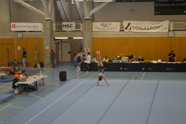 Photo 176 – Genevoise au Bois-des-Frères (2-3 mai)