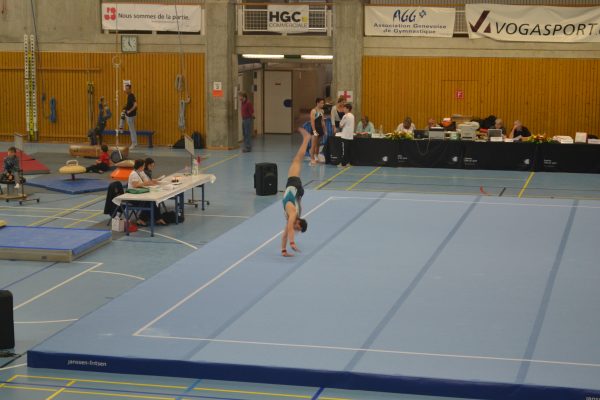 Photo 179 – Genevoise au Bois-des-Frères (2-3 mai)